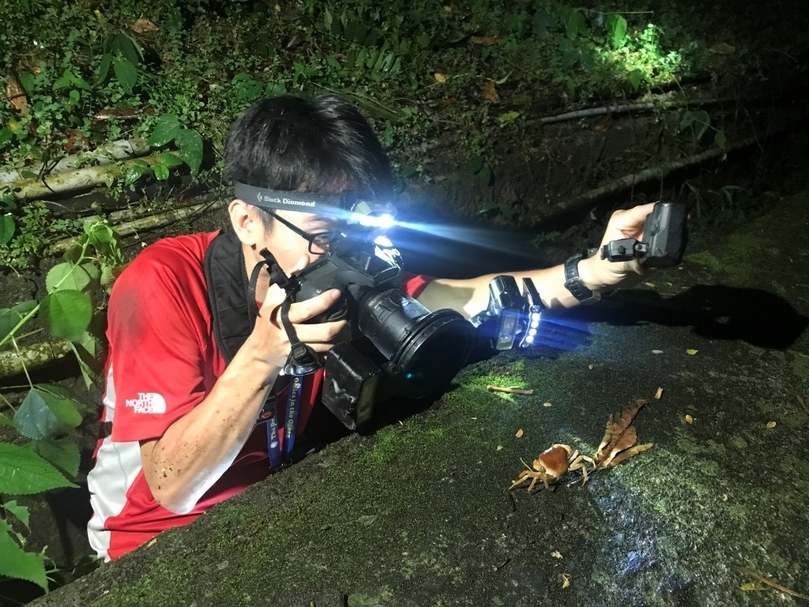 為了拍陸蟹和過境臺灣的猛禽，製作團隊前往墾丁不下數十次，就是希望呈現出最好的畫面，讓觀眾在觀看節目時有最棒的體驗！