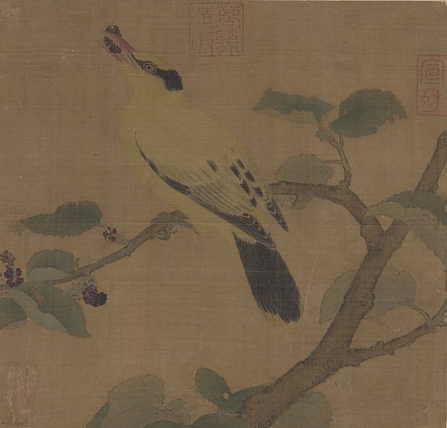 宋人〈桑枝黃鳥〉，25.4×26.5公分。鳥禽：黃鸝。（國立故宮博物院提供）