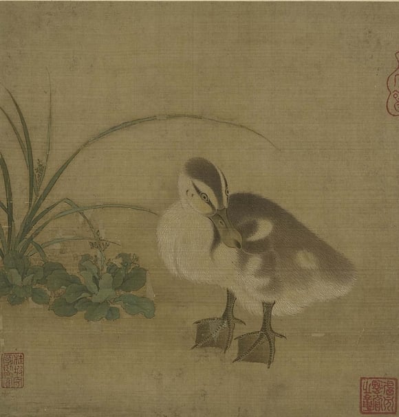 宋人〈乳鴨〉，本幅25.9×25公分。鳥禽：綠頭鴨。（國立故宮博物院提供）