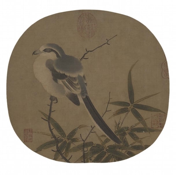 宋李安忠〈竹鳩圖〉，25.4×26.9公分。鳥禽：楔尾伯勞。（國立故宮博物院提供）