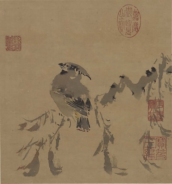 明孫龍〈寫生〉，23.5×22公分。鳥禽：朱連雀。（國立故宮博物院提供）
