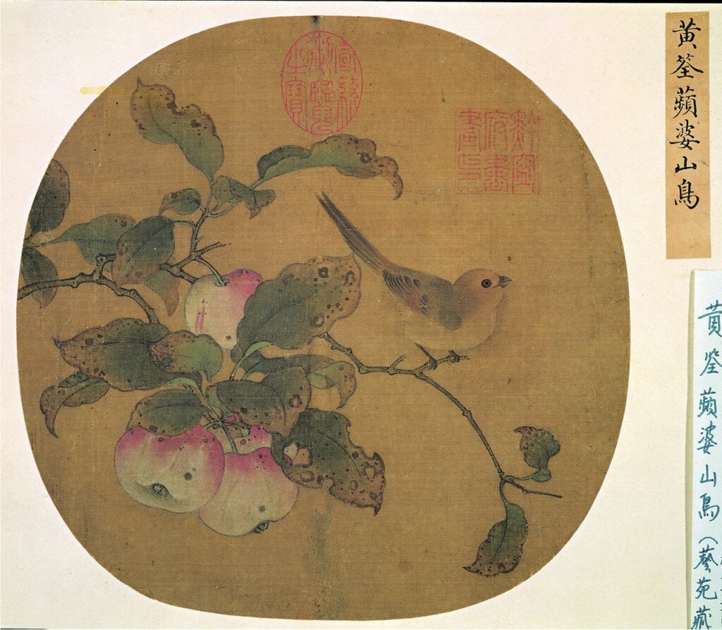 「來禽圖」特展展出五代黃筌〈蘋婆山鳥〉。
