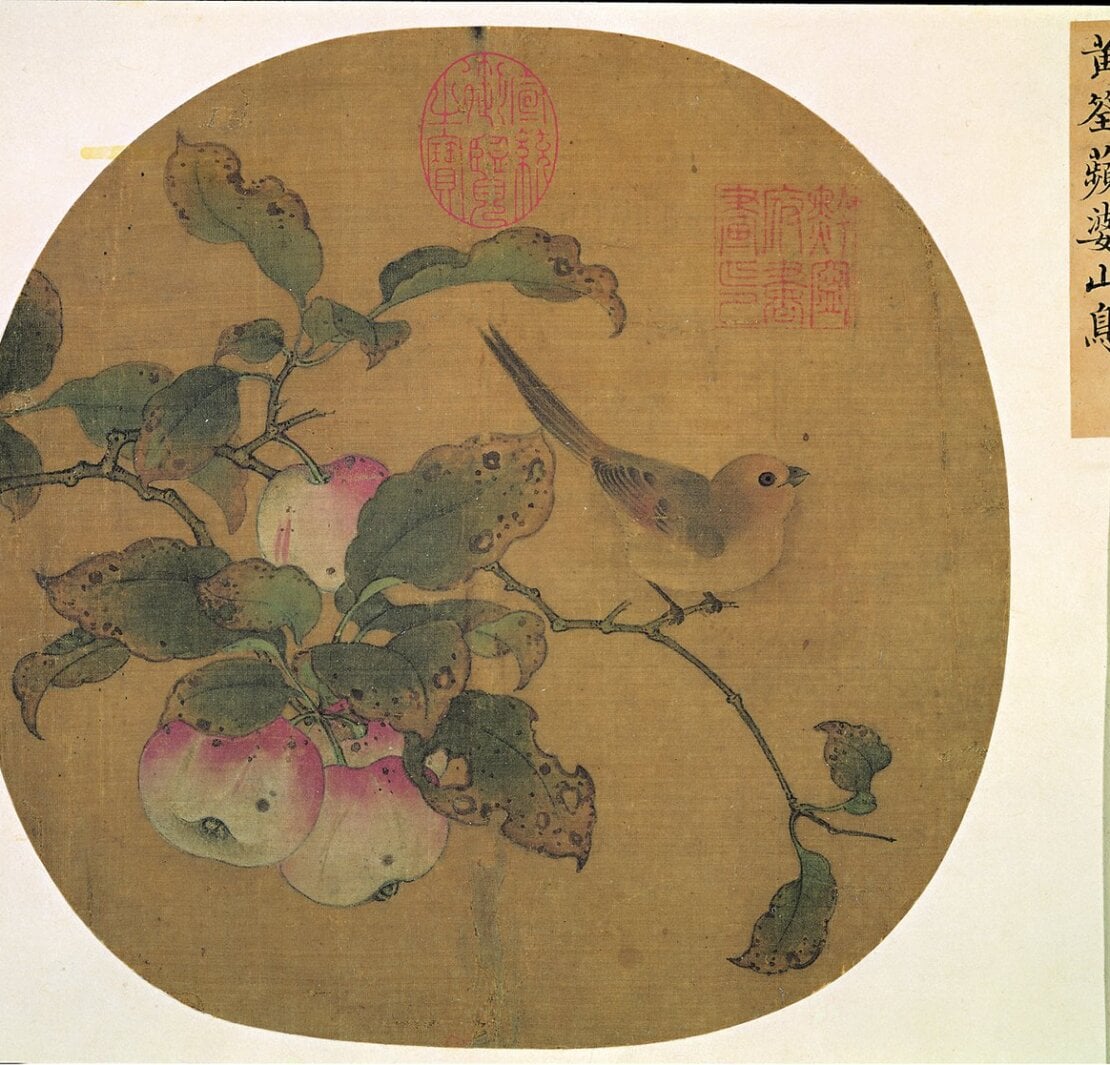 「來禽圖」特展展出五代黃筌〈蘋婆山鳥〉。