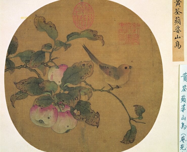 「來禽圖」特展展出五代黃筌〈蘋婆山鳥〉。