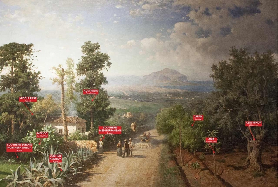 2016第12屆「歐洲宣言展」，Veduta di Palermo， Francesco Lojacono，1875， Manifesta 12 Palermo Atlas， 2017， Courtesy OMA。