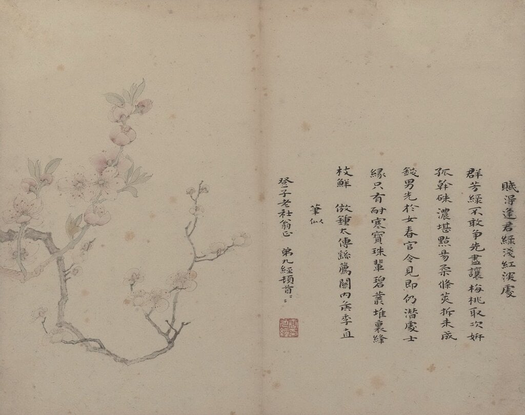桃花。