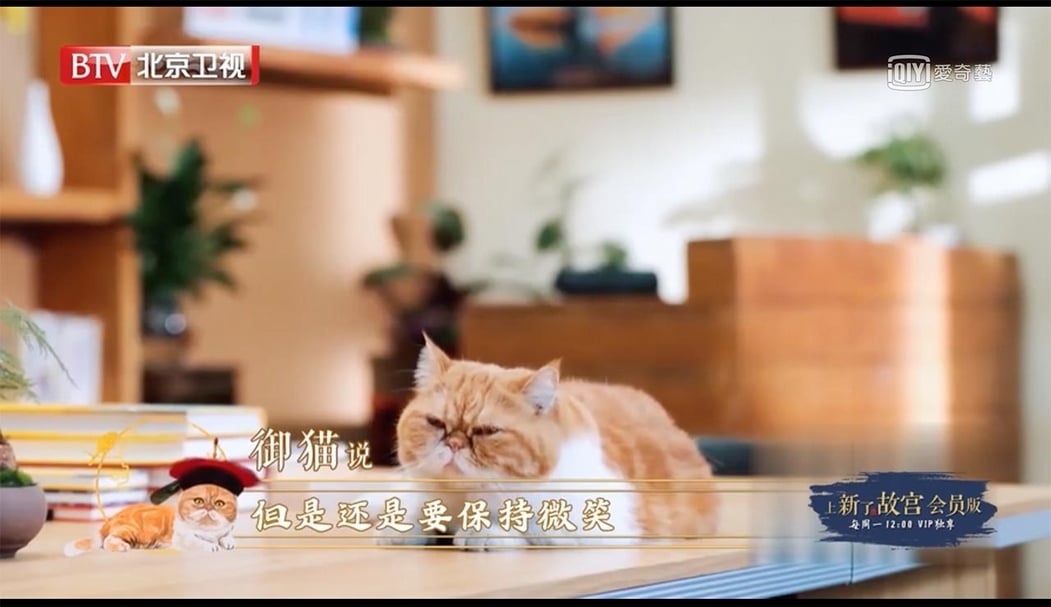《上新了．故宮》中的御貓登場。（取自愛奇藝台灣網）