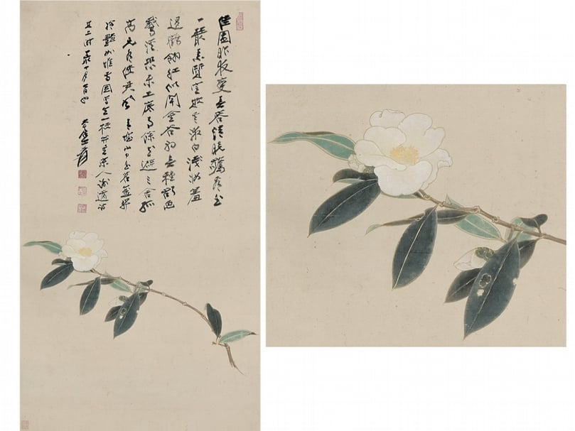 張大千〈青城玉茗〉全幅,台北私人收藏。右為局部。