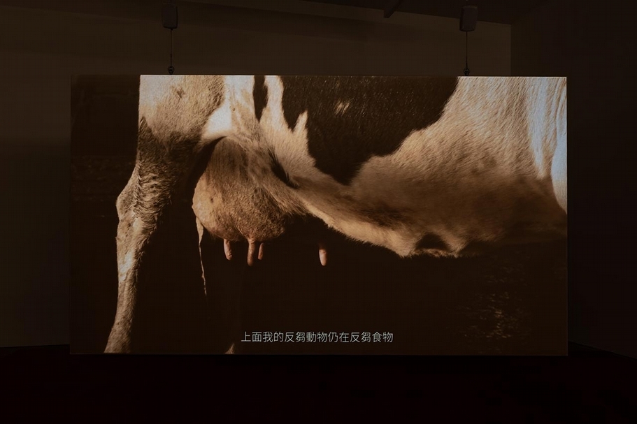 Marianna Simnett 《乳房》 ，清單頻錄像， 15’30’’，2014 。（攝影／關尚智，大館當代美術館提供）