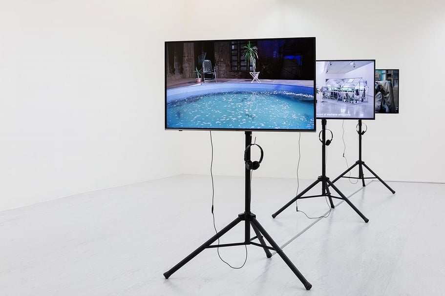左起：張碩尹《Second Life Habitat》，單頻錄像，05'24''，2016。 張碩尹《子非魚焉知魚之樂》，單頻錄像， 08'15''，2016。 張碩尹《斜紋夜蛾》，單頻錄像，05'16''，2015。（台北市立美術館提供）