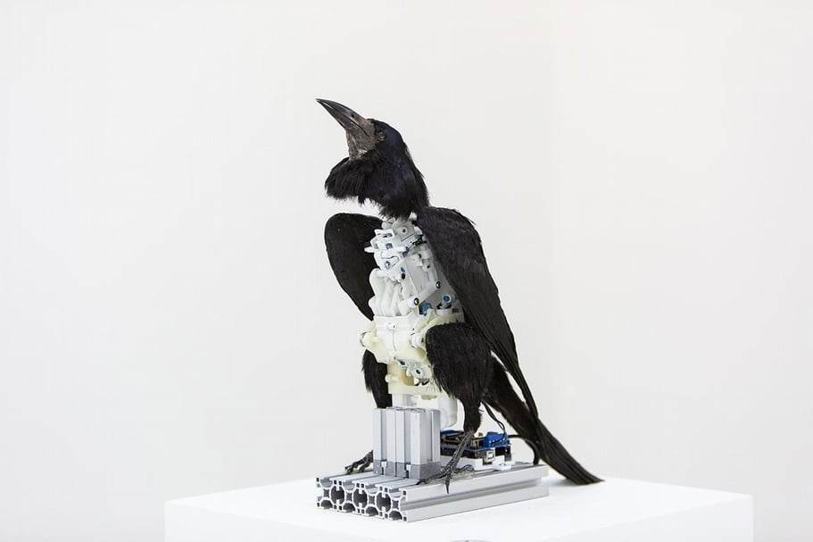 張碩尹《南冥有鳥，其名為鵬》，標本鳥、鋁、3D列印物件、電子零件，30x15x30cm，2016。（台北市立美術館提供）