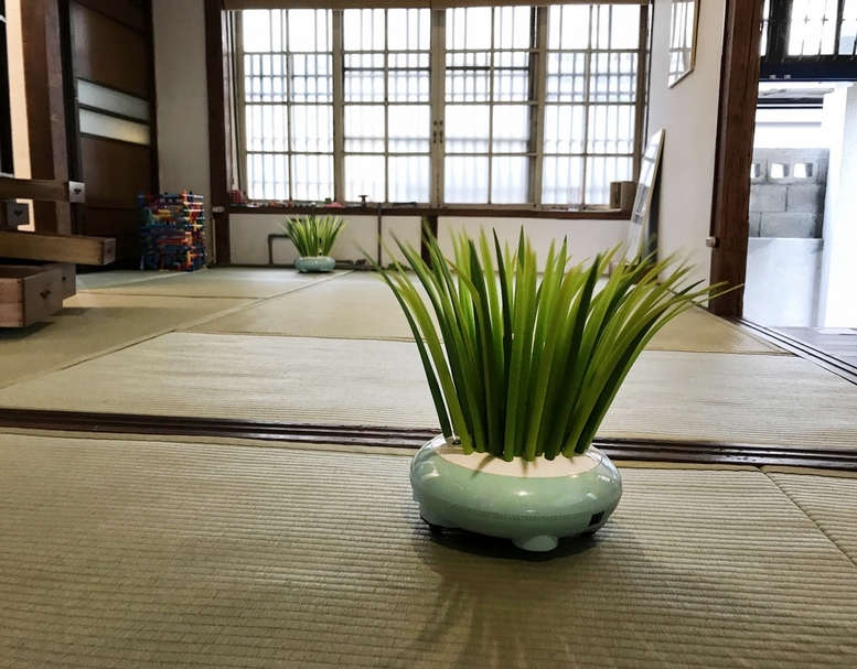 陳漢聲作品《走路草》。（藝術家提供）