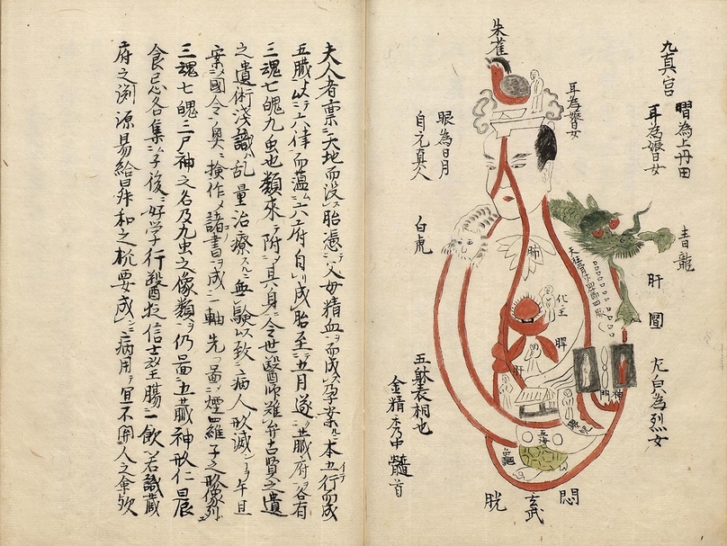不著撰人，日本天保四年相庭熙鈔本《耆婆五臟經》，國立故宮博物院藏。（國立故宮博物院提供）