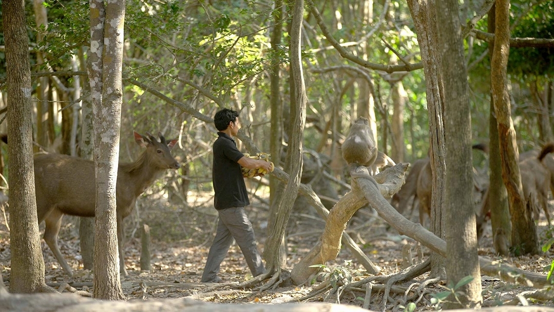 許家維《武士與鹿》，影像截圖，雙頻道錄像裝置，2019。（藝術家提供）