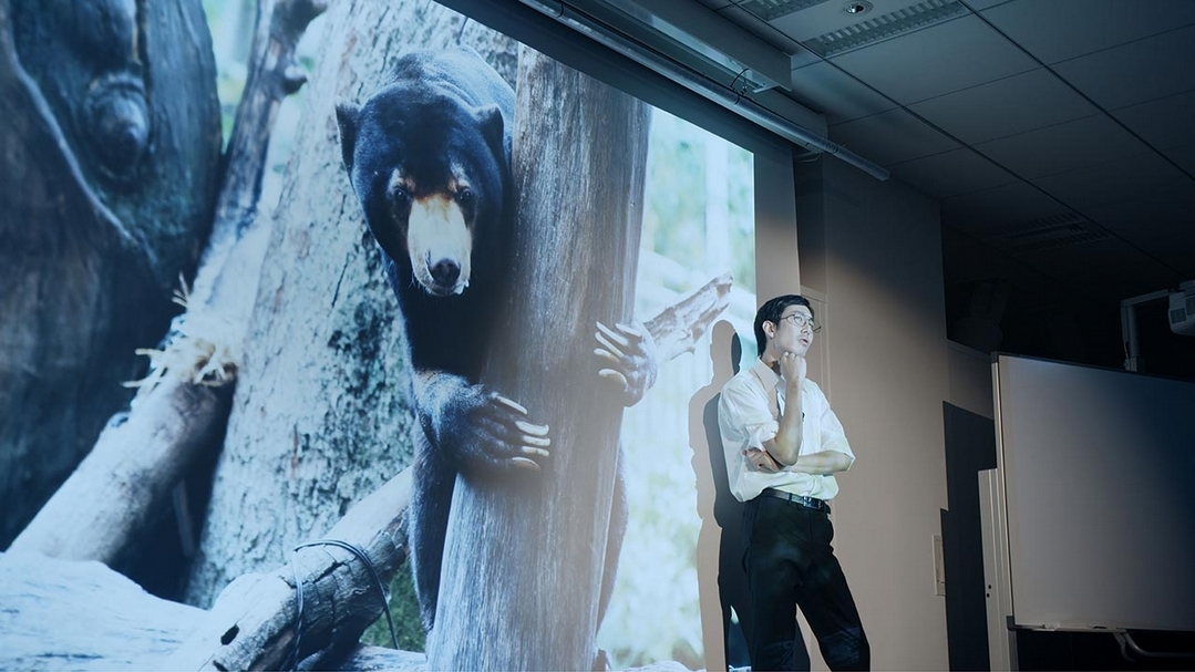 許家維《黑與白：熊貓》，影像截圖，五頻道錄像裝置，2018。（藝術家提供）