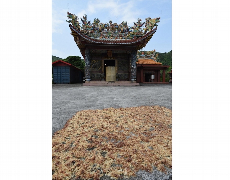 馬崗吉和宮由卯澳利洋宮分靈魚籃觀音，成為在地海神信仰。（攝影／蕭文杰）