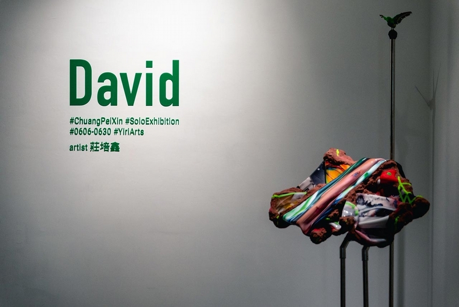 莊培鑫個展「David」展覽現場。（藝術家提供）