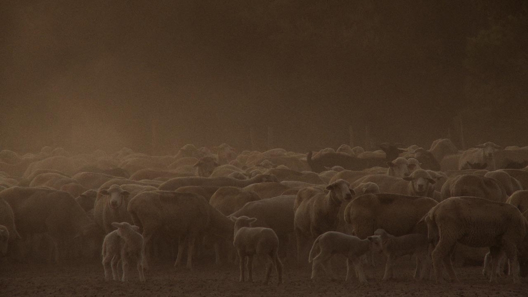 提雅哥．荷斯邦亞（Tiago Hespanha）《營區》（Campo）劇照。（© Cinéma du réel: Festival International du Documentaire）