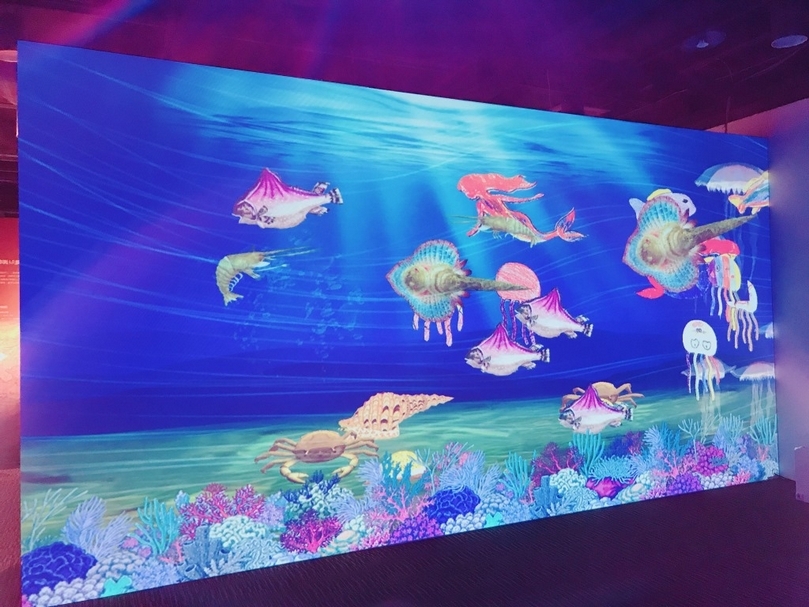 來自己畫一隻魚 他就可以在動畫裡面游泳喔~