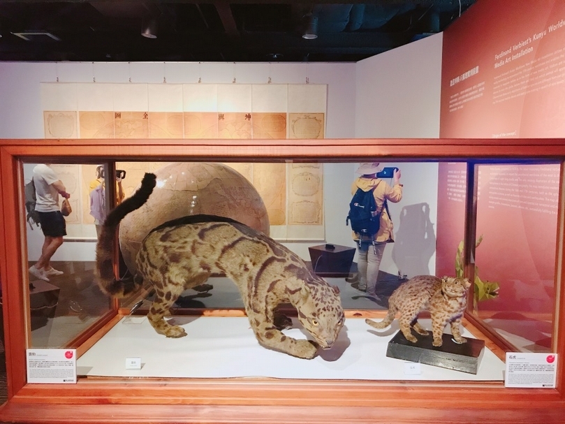 隨著動物們的棲地遭受開墾、破壞，許多原先生活在山林間的動物，像是台灣唯二的原生貓科動物中的雲豹已經消失了，剩下的石虎也已經岌岌可危。