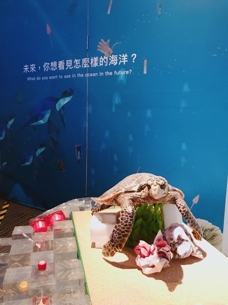 【小典藏｜愛看展】我們與自然的距離 : 生態想想－故宮x蘭博x臺博 聯合特展