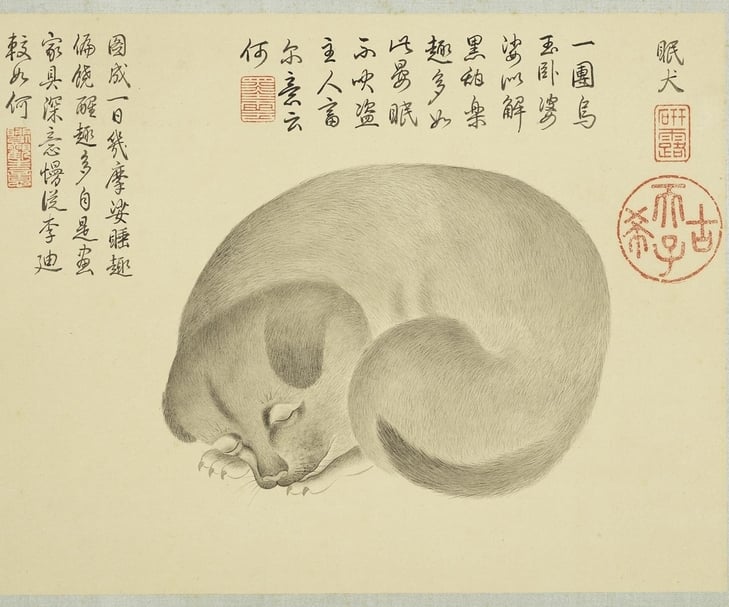 清代金廷標〈眠犬〉,24.5×32.3公分。(國立故宮博物院提供)