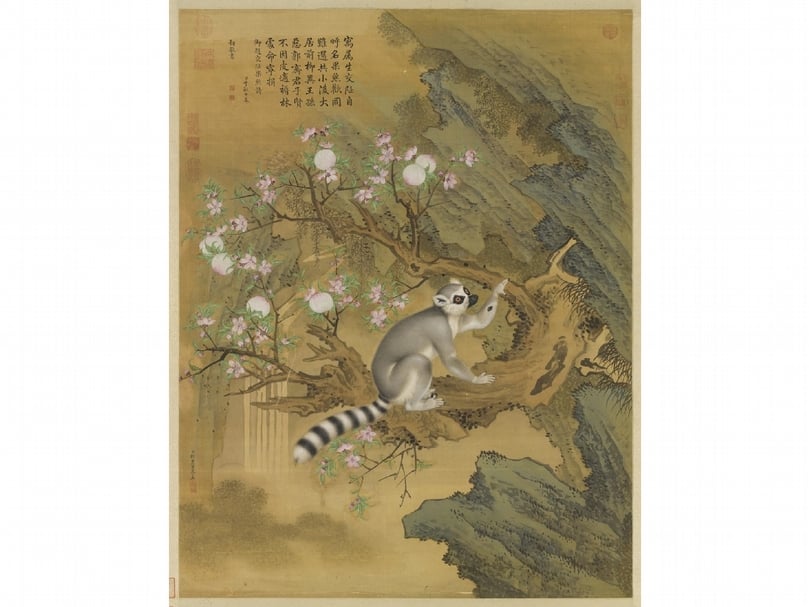 清代郎世寧〈畫交阯果然〉,109.8×84.7公分。(國立故宮博物院提供)
