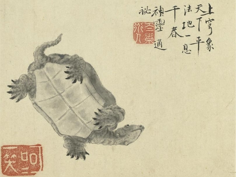 清代華喦〈龜〉,19.6×25.3公分。(國立故宮博物院提供)