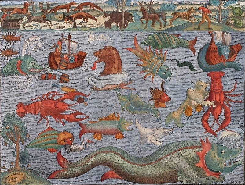 「《海獸之子》與海洋民間譚」座談。（©The Common）