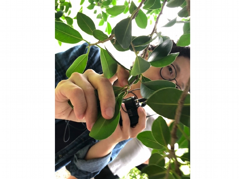 植物先生／小姐的斜槓人生／導覽團。（空總台灣當代文化實驗場提供）
