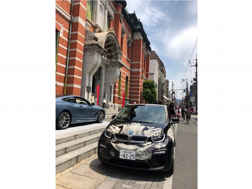 BMW i3 彩繪車與艾伯特・沃森(Albert Watson)的的作品合作。(羅苓寧提供)