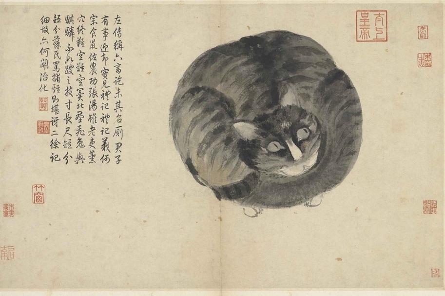 明代沈周〈寫生册.貓〉,是故宮著名的喵畫之一。