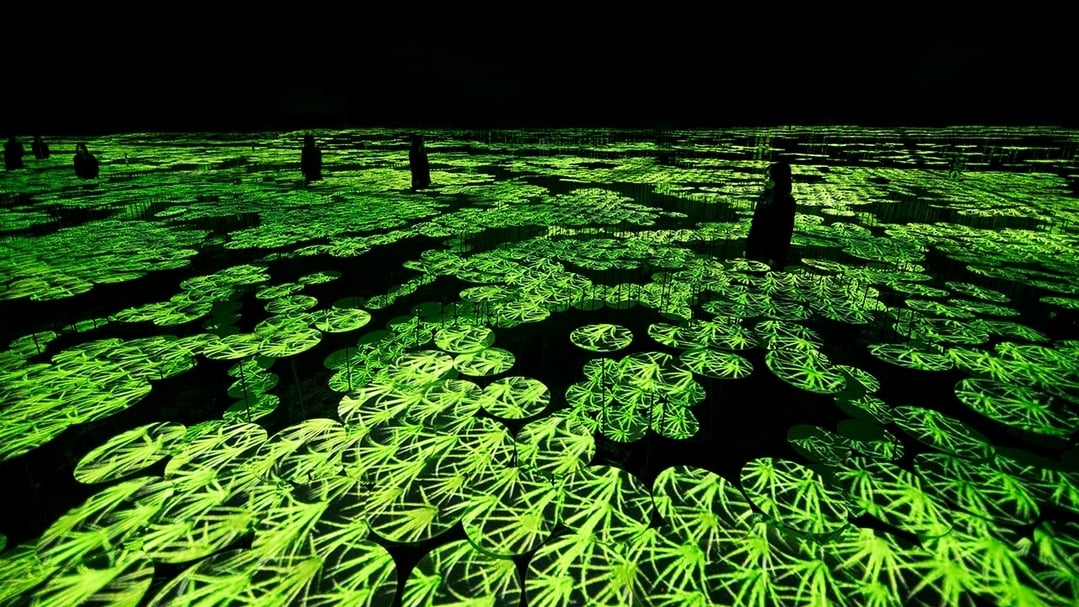 「森大樓數位美術館：teamLab無界」（MORI Building DIGITAL ART MUSEUM: teamLab Borderless）展覽現場（2018）。（© teamLab. teamLab is represented by Pace Gallery）