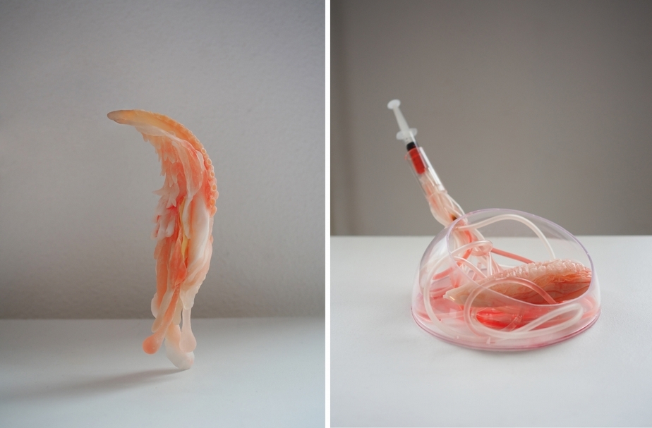 顧廣毅的「虎鞭計畫」（Tiger Penis Project）獲邀參展2019年「林茲電子藝術節」（Ars Electronica Festival）主題展。（藝術家提供）