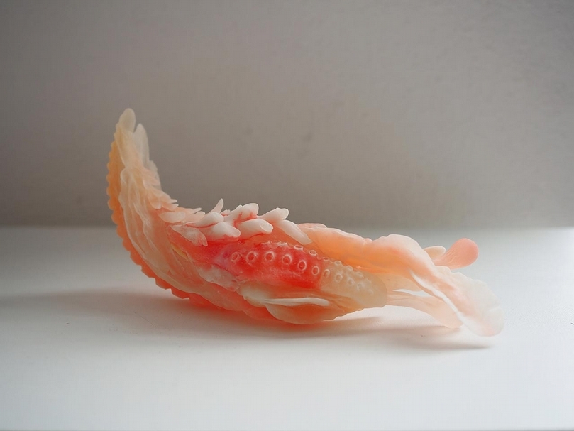 顧廣毅的「虎鞭計畫」（Tiger Penis Project）獲邀參展2019年「林茲電子藝術節」（Ars Electronica Festival）主題展。（藝術家提供）