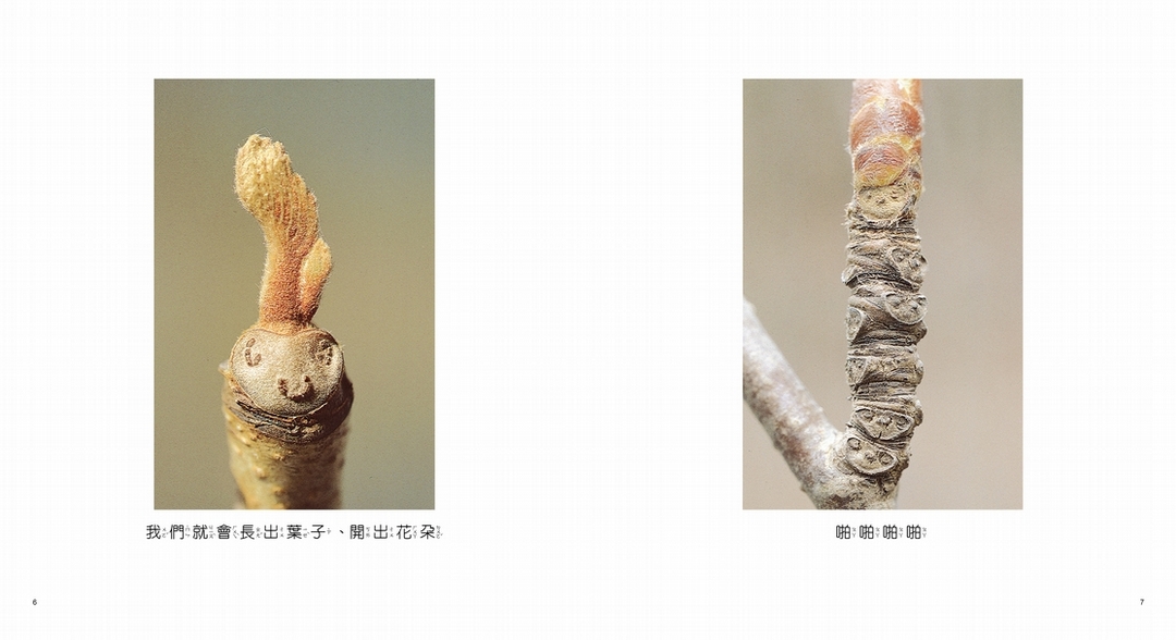 《冬芽合唱團》內頁(親子天下提供)