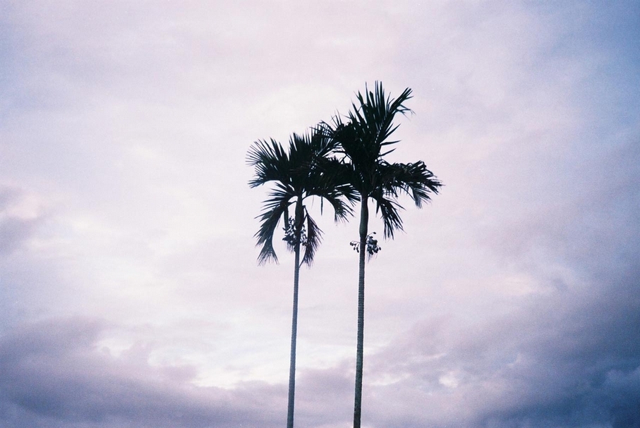 （攝影／牛俊強）
