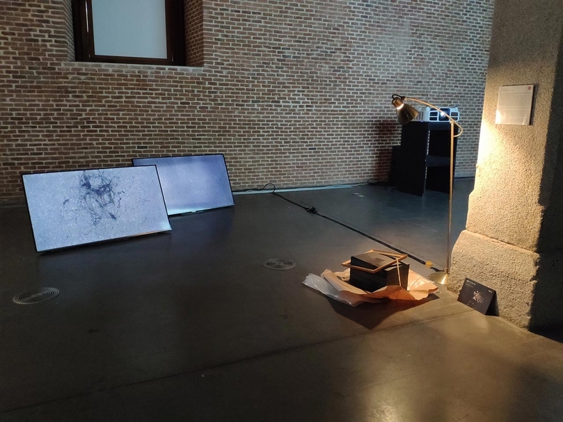 藝術家吳家昀作品darkness-within-darkness於Conde-Duque展覽現場。（ 攝影／葉佳蓉）