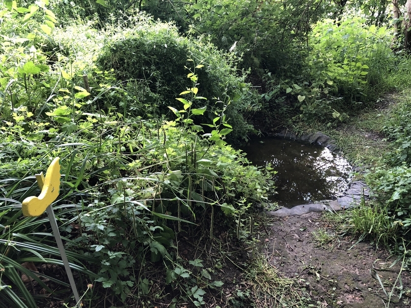 荷蘭CNME傑克達爾自然園（CNME Natuurtuinen Jekerdal）鼓勵人們光腳穿越，在步徑中刻意製造不同的地表環境。（賴怡辰提供）