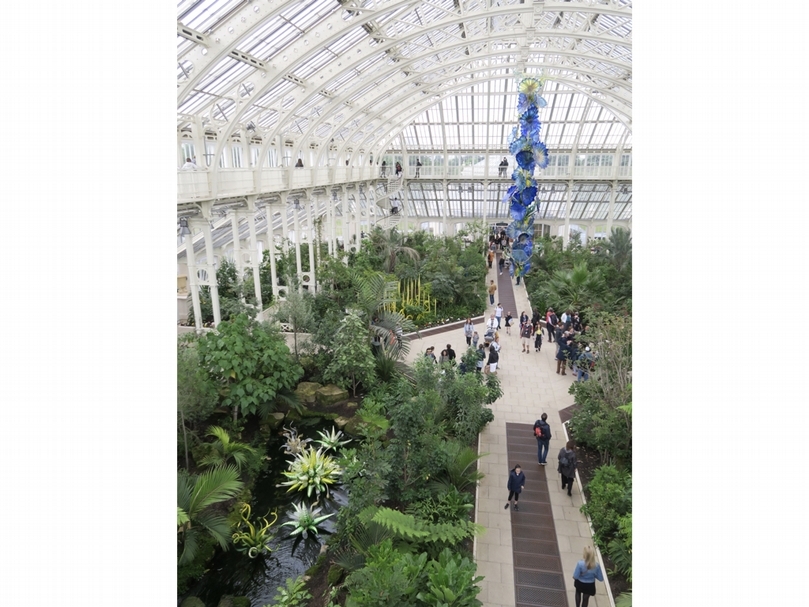 美國玻璃藝術家戴爾．奇胡利（Dale Chihuly）的作品設置在邱園去年新落成的溫帶溫室中。（ 賴怡辰提供）