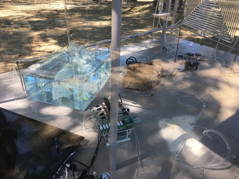 生物實驗系統裝置與當地的自然光影。（攝影／陳飛豪）