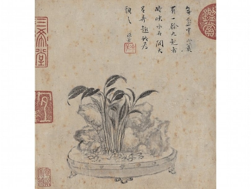 明李流芳《山水寫生冊》第十二開〈盆蕉〉。（國立故宮博物院提供）