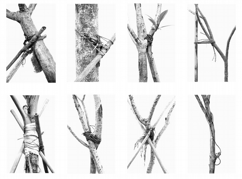 黄淑婷2017年的作品《綁樹的方式》(Ways to Tie Trees)。(© Woong Soak Teng)