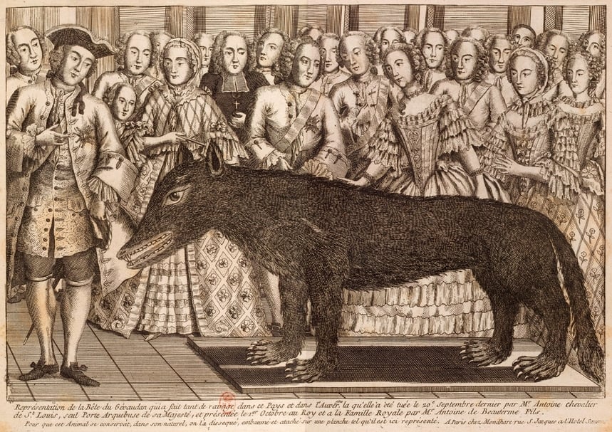 1764年作蝕刻版畫，皇帝路易十六介入後第一次獵殺到的巨大灰狼 (Wolf of Chazes)，被送往凡爾賽在宮廷中展示，法國國家圖書館收藏。（©Gallica Digital Library）