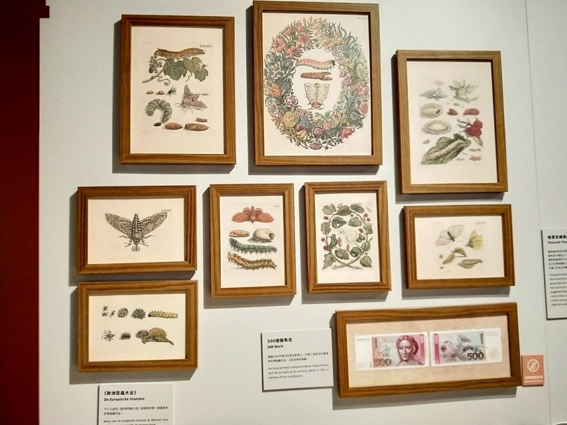 【小典藏｜愛看展】「女生」當科學家？