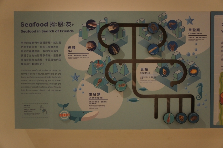 吳郭魚的另一個名字，叫做「臺灣鯛」，屬於有脊椎、用鰓呼吸的「魚類」。根據這個特徵，找一找遠方同類的朋友，把牠們放在一起吧。