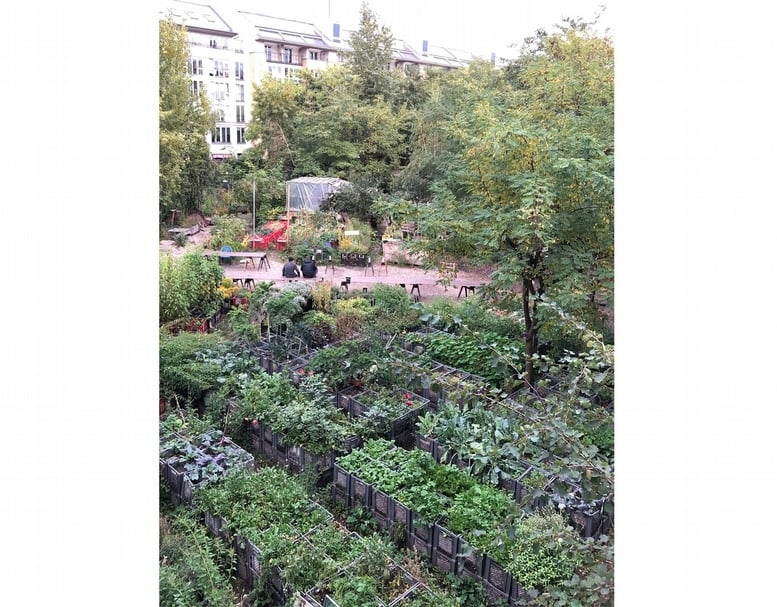 公主花園 （Prinzessinnengärten）的菜園。（ 賴怡辰提供）