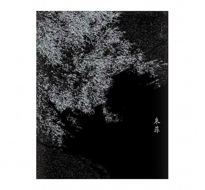《一定曾經有狂喜．才讓追逐深深寫進基因裡》書封。（© 朱菲）