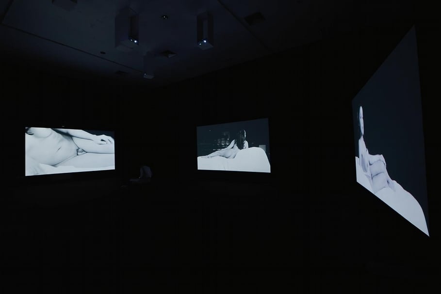 阿林.朗姜(Arin Rungjang)的五頻道錄像作品《歡迎來到我的世界》(Welcome to my world)是展覽的委託新作。概念源自藝術家幼年時期對一位跨性別鄰居的深刻印象,黑白錄像以定格鏡頭拍攝一位全裸而側臥著的跨性別女性,並以超大的投影呈現,讓觀眾置身在其凝視之中。(© artist, BACC and Sunpride Foundation)