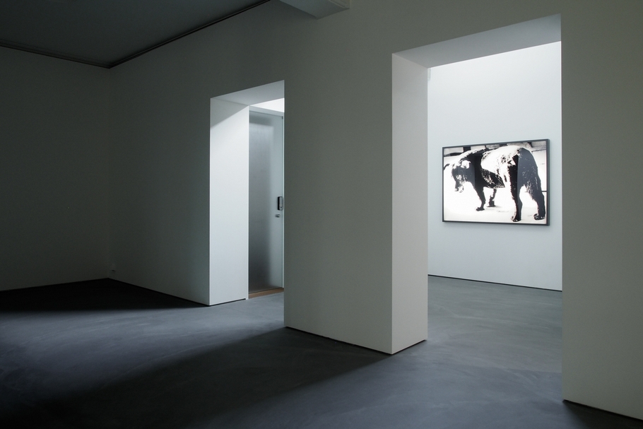 2018年亞紀畫廊開幕首展為「森山大道 Moriyama Daido：Radiation」。（亞紀畫廊提供）